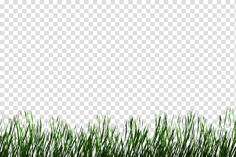 Grass , green grass illustration transparent background PNG clipart