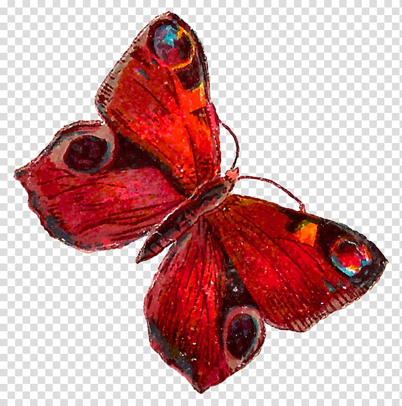 butterfly aglais io insect moths and butterflies red, Pollinator, Brushfooted Butterfly transparent background PNG clipart