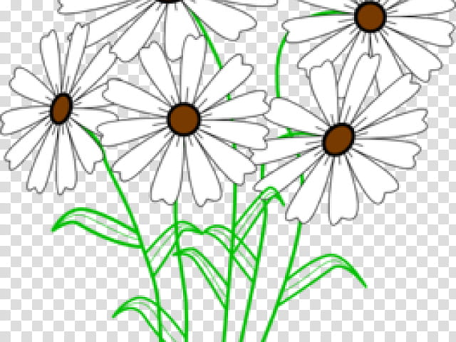 Black And White Flower, Floral Bouquets, Christian , BORDERS AND FRAMES, Petal, Cut Flowers, Floral Design, Common Daisy transparent background PNG clipart