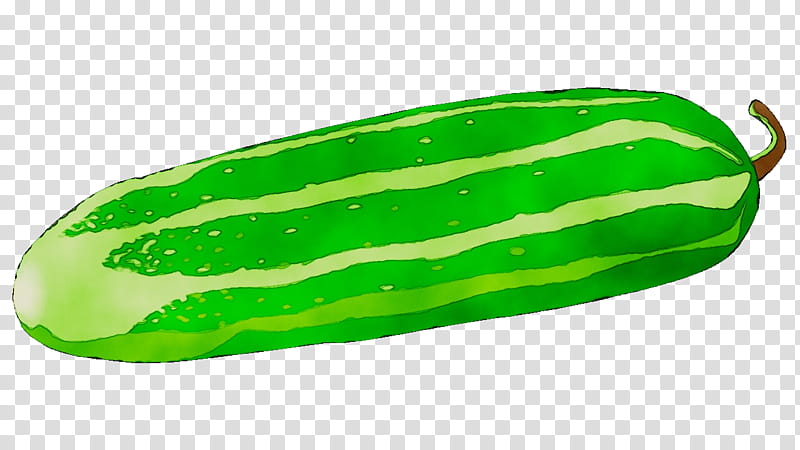 Watermelon, Cucumber, Pickled Cucumber, Fruit, Green, Vegetable, Plant, Cucumis transparent background PNG clipart