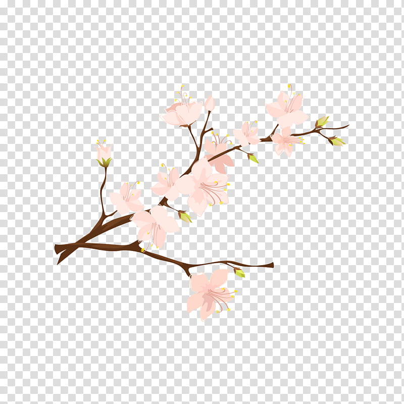 Cherry Blossom, Youtube, 2018, Video, Film, Video Games, Video Search Engine, Television Show transparent background PNG clipart