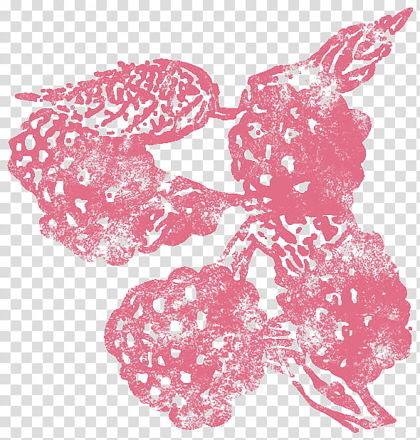 Background Motif, Raspberry, Visual Arts, Fruit, Email, Facebook, Branch, Pink M transparent background PNG clipart