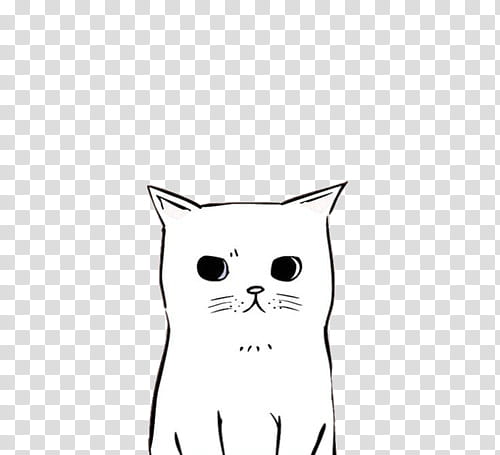 Ii Free Use White And Black Cat Illustration Transparent