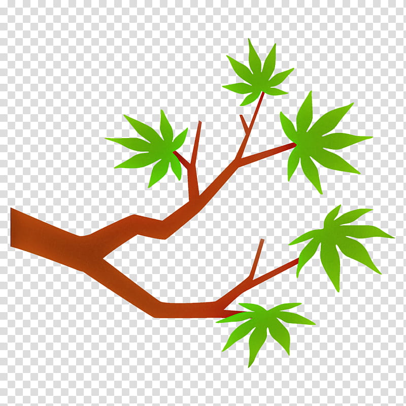 maple branch maple leaves maple tree, Leaf, Plant, Plant Stem, Hemp Family, Flower, Herbal transparent background PNG clipart