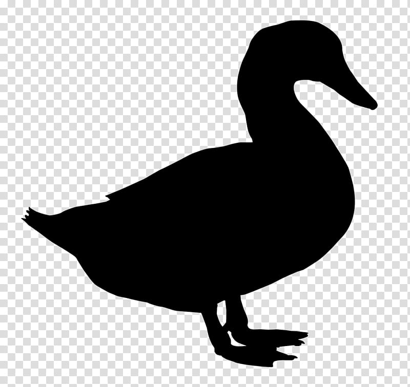 Bird Silhouette, Duck, Rubber Duck, Beak, Water Bird, Ducks Geese And Swans, Waterfowl, Goose transparent background PNG clipart