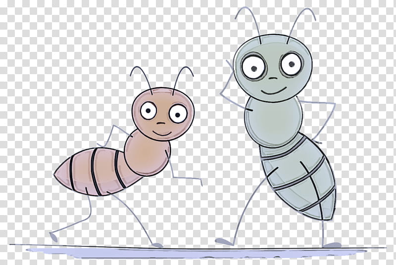 cartoon insect animation animated, Cartoon, Animated Cartoon, Drawing, Membranewinged Insect transparent background PNG clipart