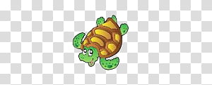 brown and green turtle illustration transparent background PNG clipart thumbnail