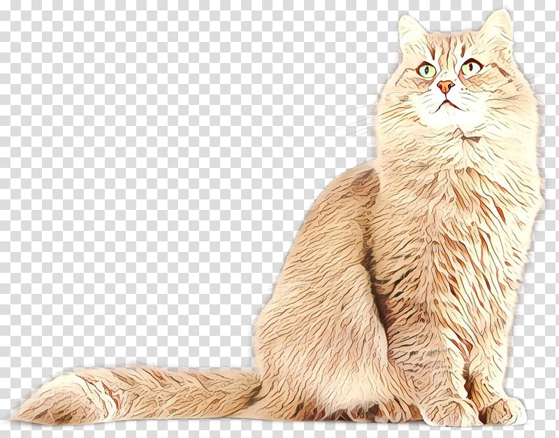 Cat, Persian Cat, Asian Semilonghair, Nebelung, European Shorthair, Malayan Cat, Whiskers, Siberian Cat transparent background PNG clipart