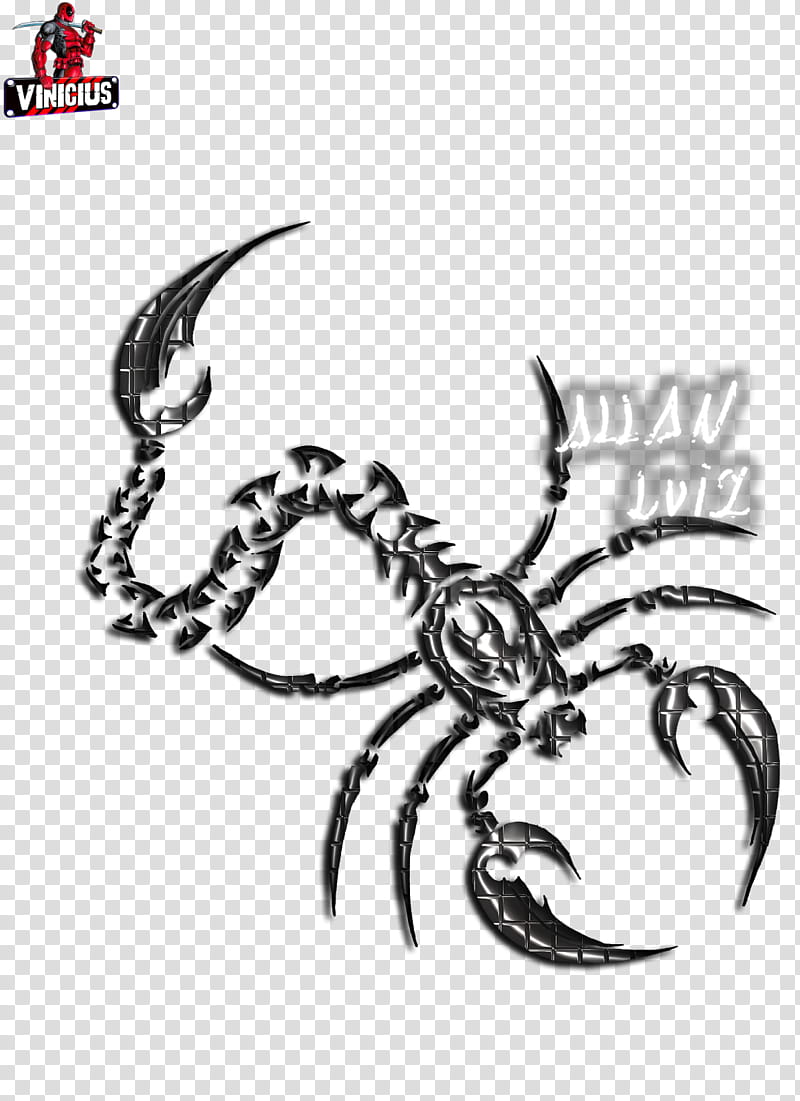 Seafood, Crab, Decapods, Insect, Scorpio, Drawing, Character, Author transparent background PNG clipart
