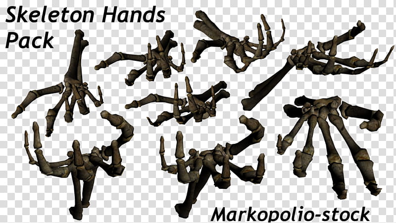 Skeleton Hand Set Nov  , skeleton hands transparent background PNG clipart