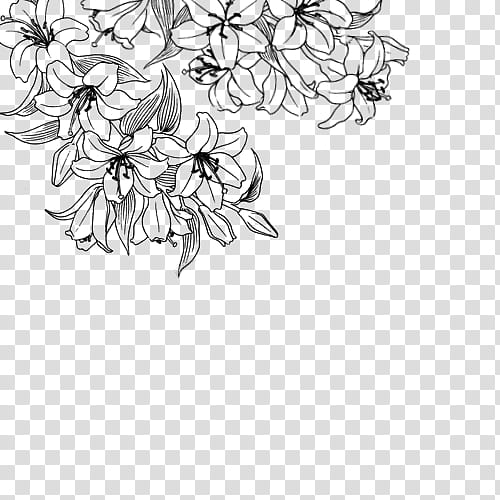 Black and White S, black and blue lilies in bloom illustration transparent background PNG clipart
