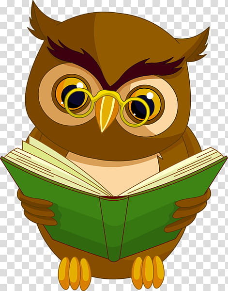 Owl, Drawing, Book, Animal, Cartoon, Bird Of Prey, Eastern Screech Owl transparent background PNG clipart