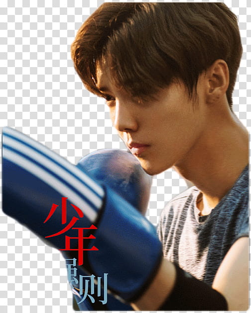 Lu Han Sweet Combat, pair of blue boxing gloves transparent background PNG clipart