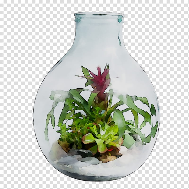 Vase Flower, Plants, Glass, Unbreakable, Nepenthes, Perennial Plant, Artifact transparent background PNG clipart