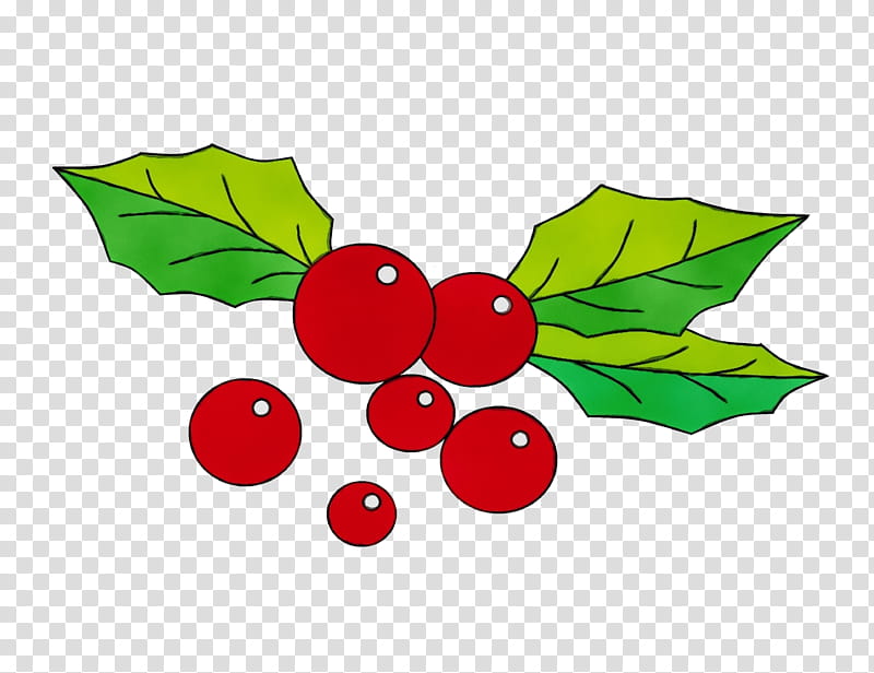 Holly, Watercolor, Paint, Wet Ink, Leaf, Plant, Currant, Berry, Tree, Fruit transparent background PNG clipart