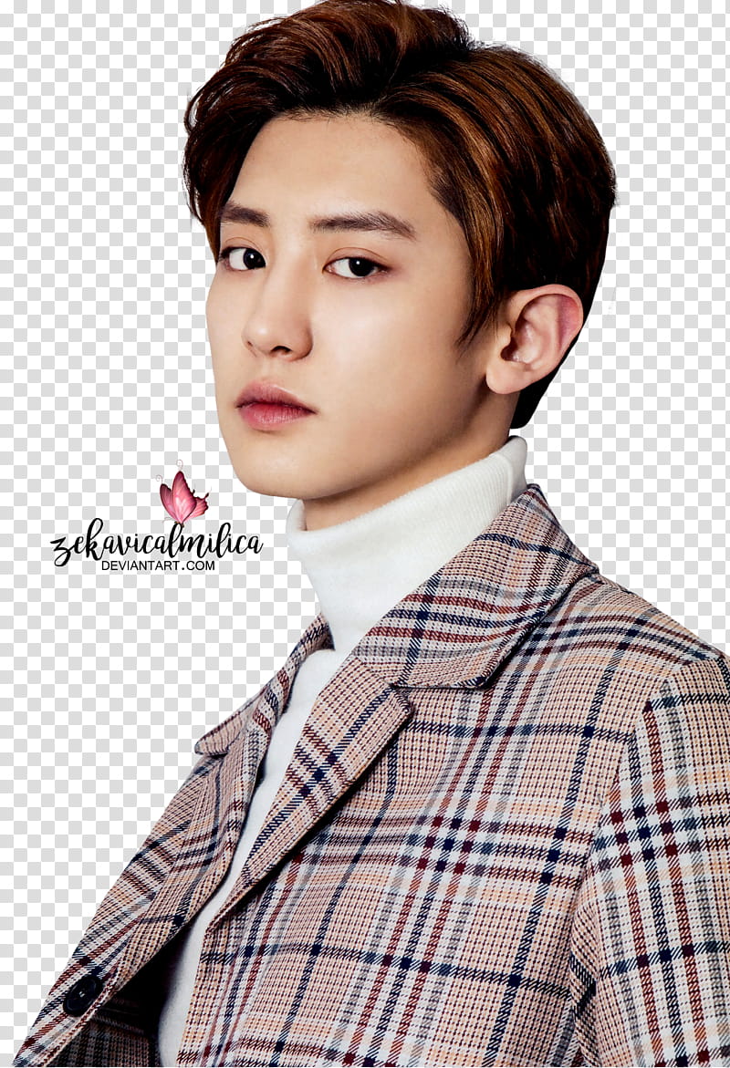 EXO Chanyeol Hanryu Pia, man wearing brown and black plaid collard top transparent background PNG clipart