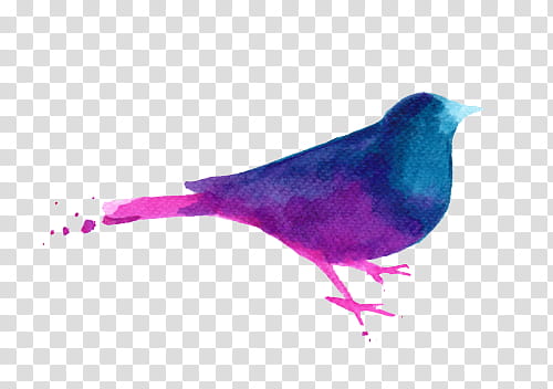 Delirium, teal and purple bird illustration transparent background PNG clipart