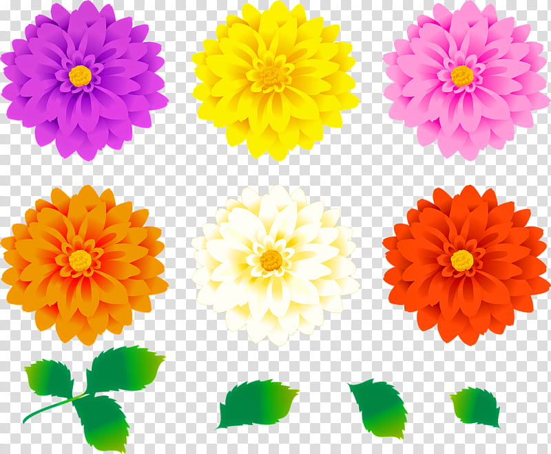 Drawing Of Family, Dahlia, , Copyrightfree, , Painting, Leaf, Flower transparent background PNG clipart