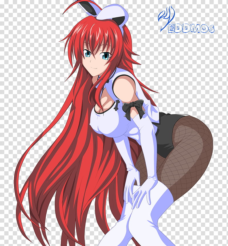 Bunny Rias Gremory, female anime character illustration transparent backgro...