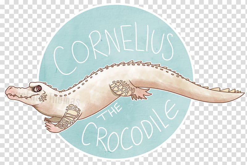 Cornelius the Crocodile transparent background PNG clipart