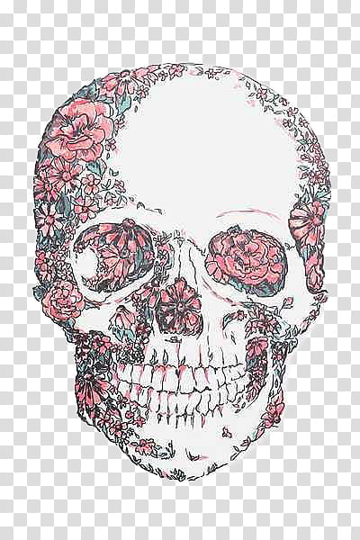 Vol , white and pink skull transparent background PNG clipart