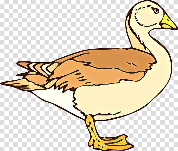 Duck, Goose, Fowl, Beak, Animal, Bird, Water Bird, Ducks Geese And Swans transparent background PNG clipart