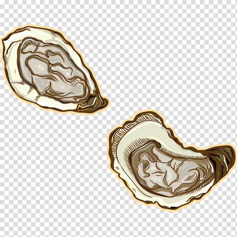 Shrimp, Oyster, Mussel, Seafood, Shellfish, Scallops, Drawing, Jewellery transparent background PNG clipart