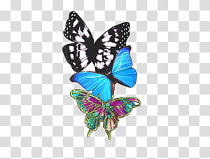 three assorted-color butterfly decors transparent background PNG clipart thumbnail
