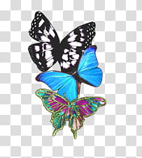 three assorted-color butterfly decors transparent background PNG clipart