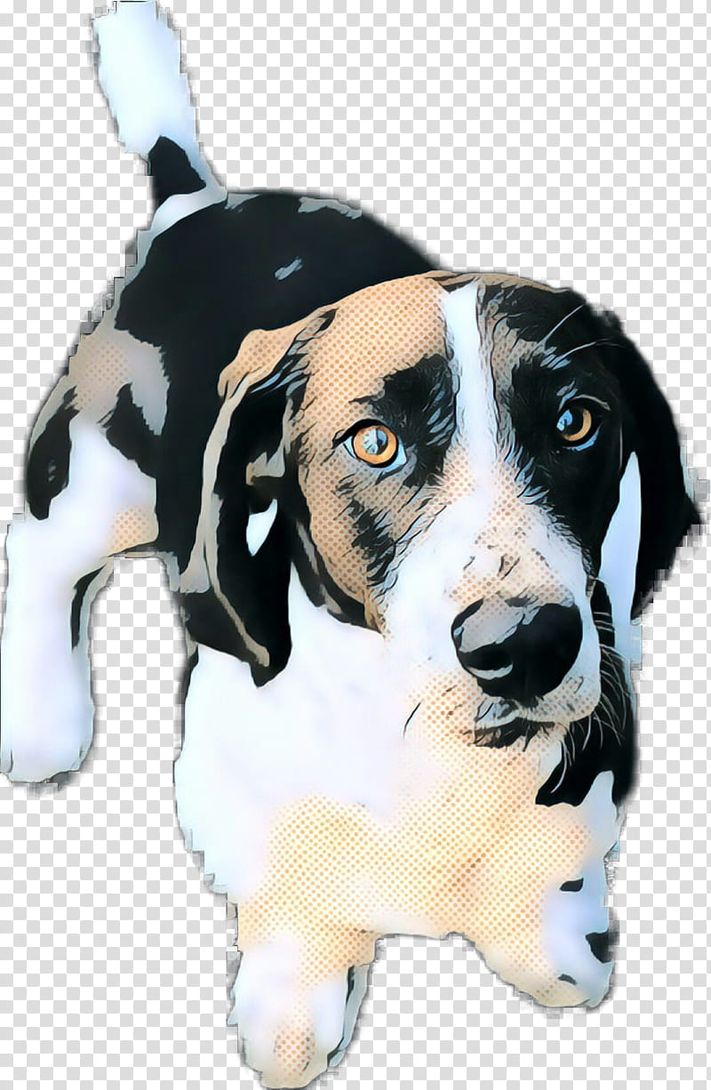 Cartoon Dog, Treeing Walker Coonhound, Black And Tan Coonhound, Snout, Breed, Nose, Puppy, Rare Breed Dog transparent background PNG clipart