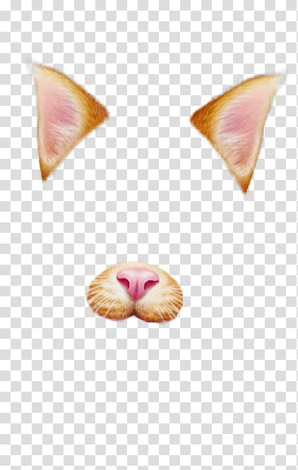 Snapchat Filters Part , orange cat face transparent background PNG clipart