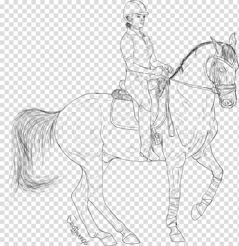 free line art , man riding on horse illustration transparent background PNG clipart
