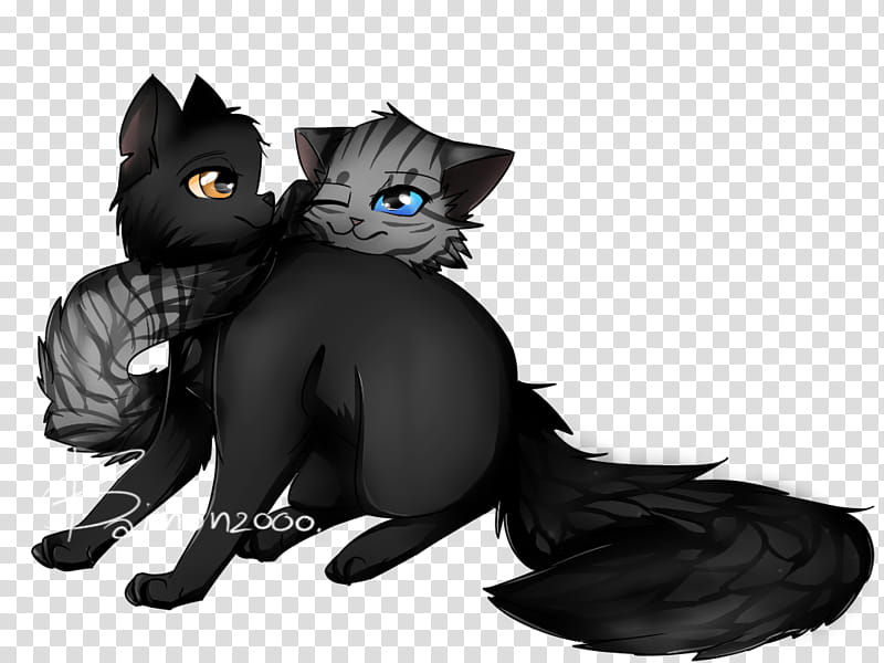 Cats, Black Cat, Feathertail, Crowfeather, Stormfur, Silverstream, Graystripe, Riverclan transparent background PNG clipart