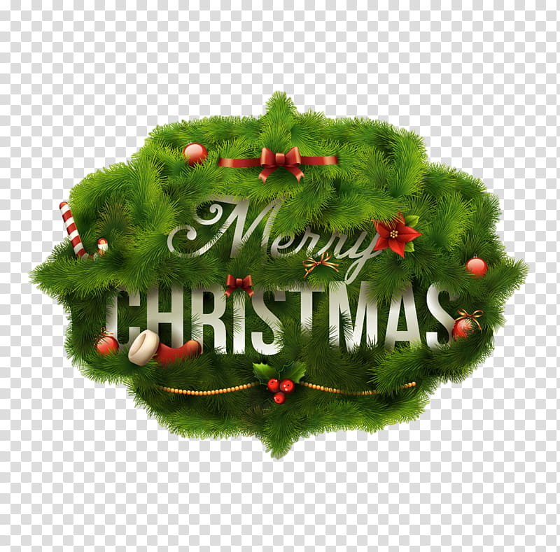 Christmas decoration, Leaf, Holly, Grass, Tree, Plant, Event, Logo transparent background PNG clipart