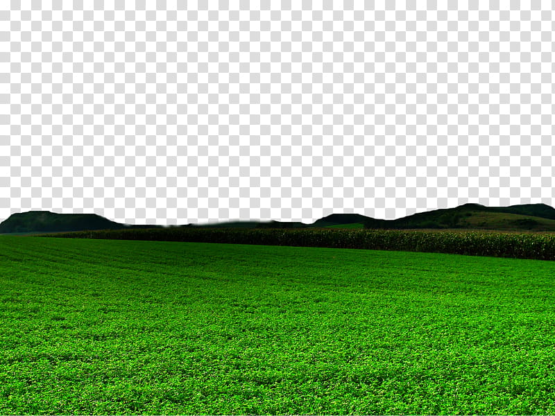 Green nature transprent file free use, green open field viewing mountain transparent background PNG clipart