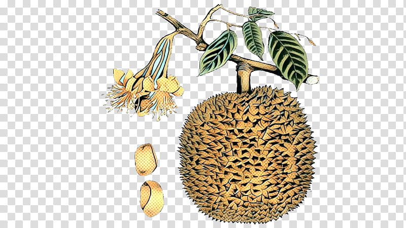 Family Tree, Durio Zibethinus, Fruit, Food, Cempedak, Durian, Thai Cuisine, Artocarpus Camansi transparent background PNG clipart