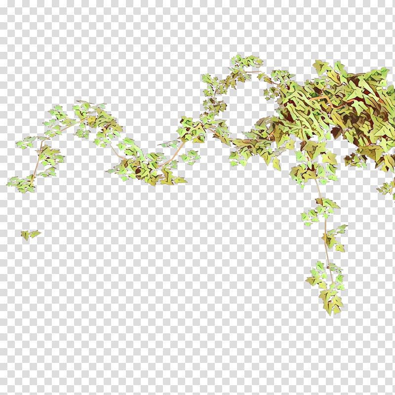 Watercolor Flower, Leaf, Greens, Parsley, Chervil, Twig, Watercolor Painting, Spice transparent background PNG clipart