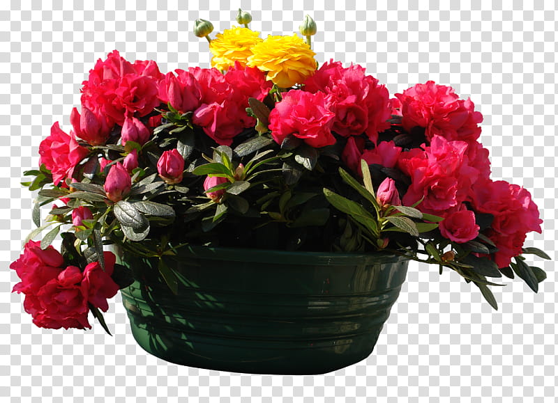 made your own composition, red and yellow flowers in basket transparent background PNG clipart