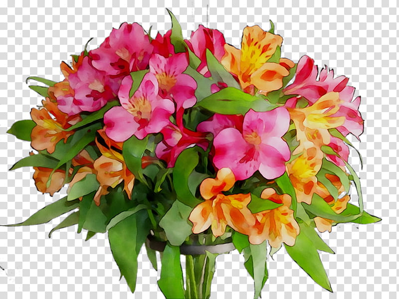 Lily Flower, Cut Flowers, Floral Design, Flower Bouquet, Plants, Annual Plant, Herbaceous Plant, Biblical Apocrypha transparent background PNG clipart