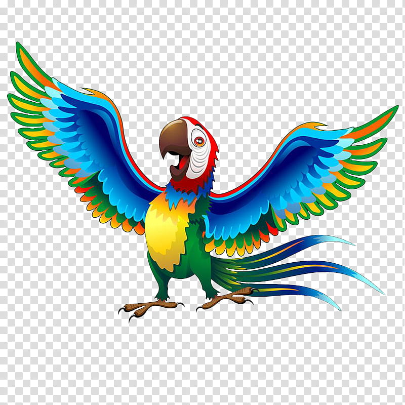 Bird Parrot, Macaw, Drawing, Cartoon, Macaws, Parakeet, True Parrot, Beak transparent background PNG clipart