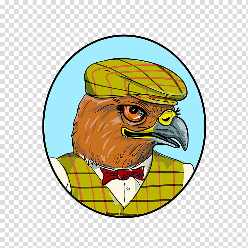 Eagle Bird, Drawing, Cartoon, Bald Eagle, Bird Of Prey, Beak, Falconiformes, Golden Eagle transparent background PNG clipart