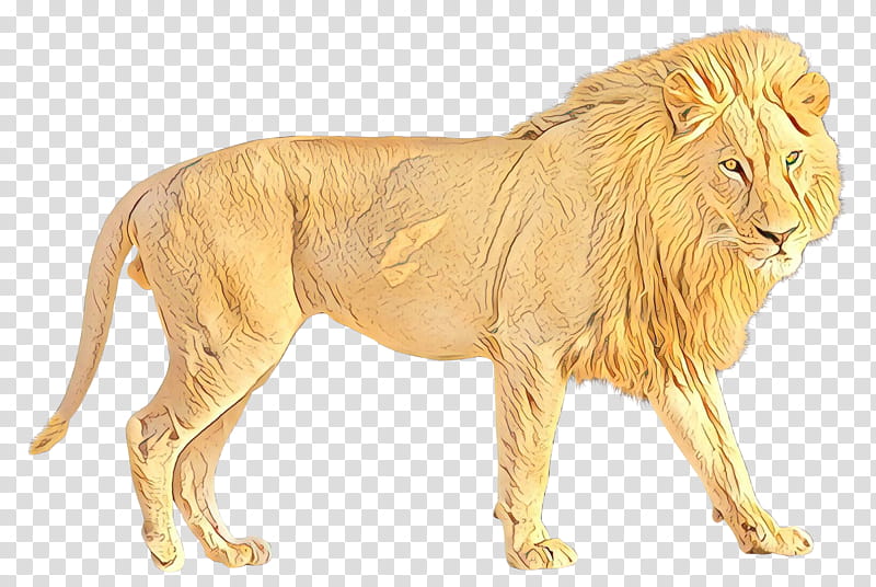 Lion, Jaguar, Roar, White Lion, Animal, Panthera, Animal Figure, Wildlife transparent background PNG clipart