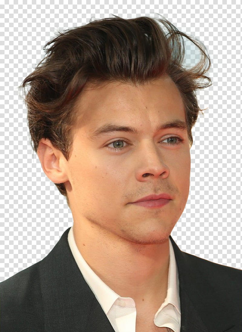 HARRY STYLES transparent background PNG clipart