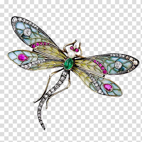 Insect Jewelry s, silver-colored, yellow, teal, and clear gemstones dragonfly brooch transparent background PNG clipart