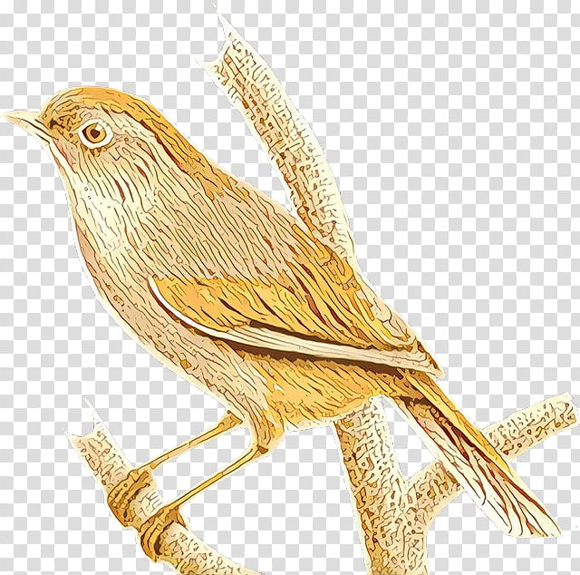 Cartoon Bird, Cartoon, Beak, Wren, Cuckoos, Feather, Cuculiformes, Songbird transparent background PNG clipart