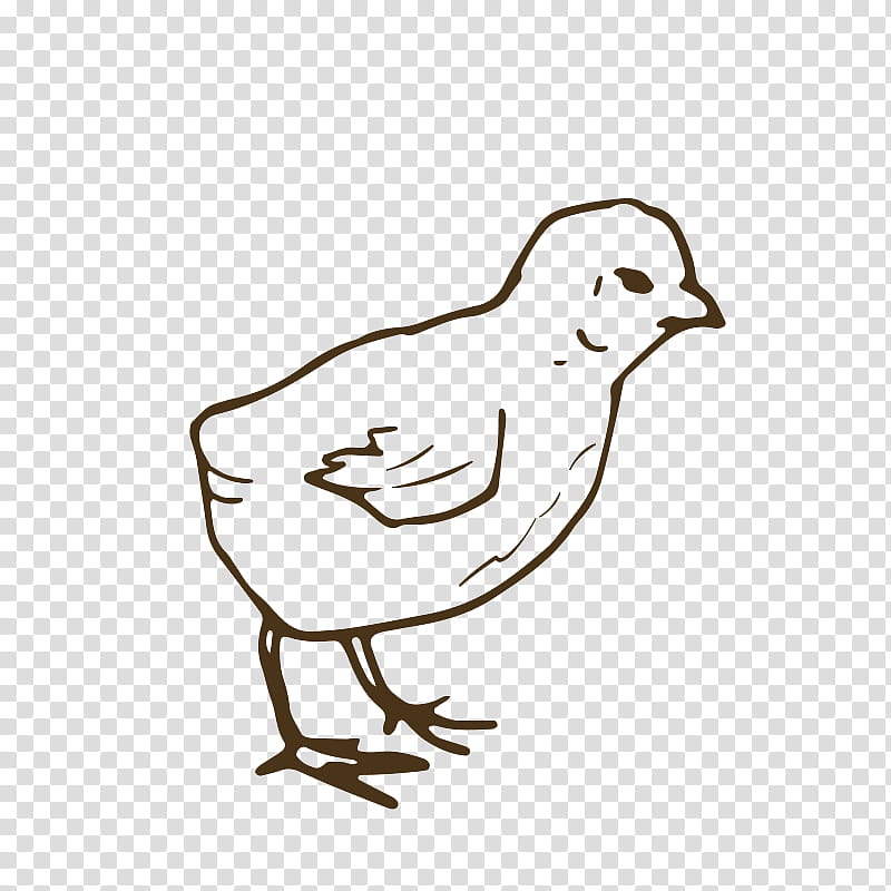 Bird Line Drawing, Chicken, Duck, Cartoon, Line Art, Beak, Black And White
, Water Bird transparent background PNG clipart