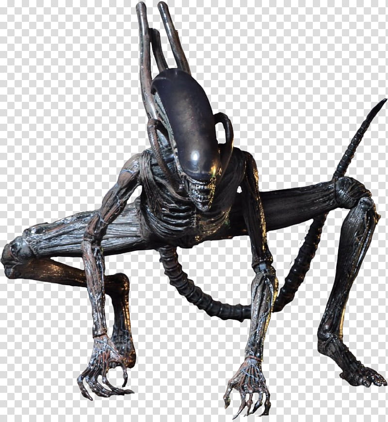 Alien covenant xenomorph acton figure transparent background PNG clipart