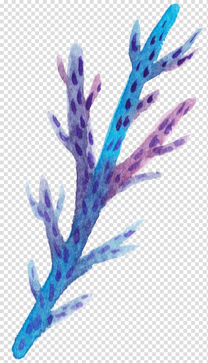 Coral Reef, Jellyfish, Watercolor Painting, Blue Coral, Algae, Sea, Seaweed, Lavender, Aquarium Decor, Twig transparent background PNG clipart