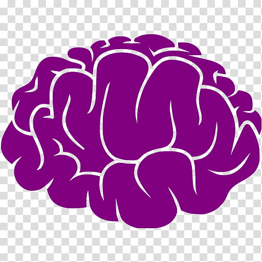 Brain Outline, Human Brain, Logo, Skull, Outline Of The Human Brain, Purple, Violet, Plant transparent background PNG clipart