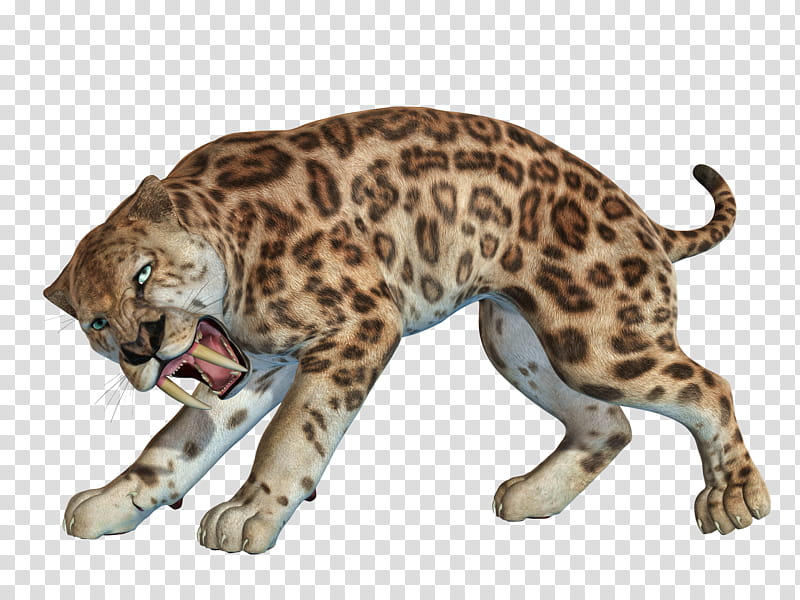 Sabertooth , brown wild cat transparent background PNG clipart